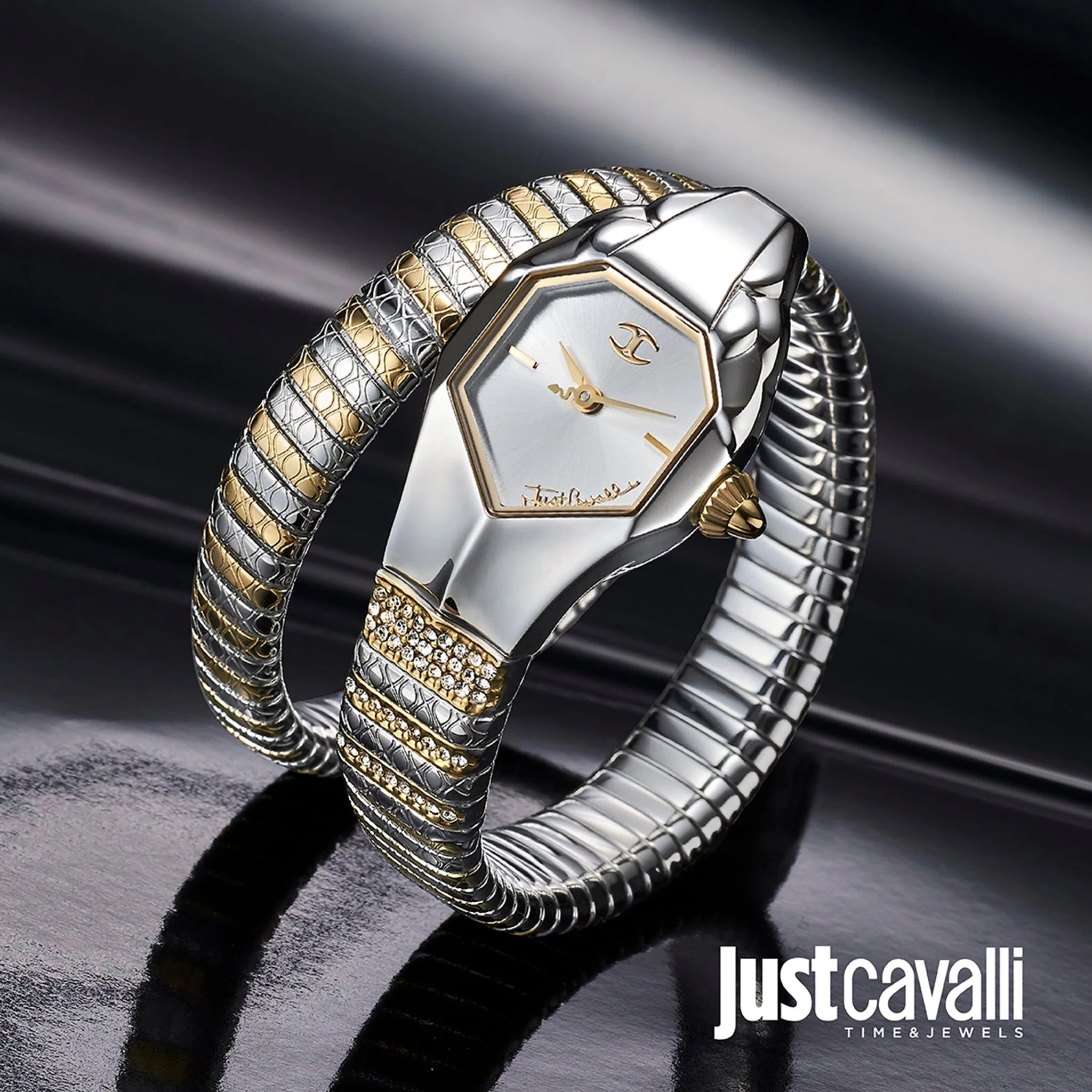 Just Cavalli Stainless Steel Analog Women's Watch JC1L113M0045