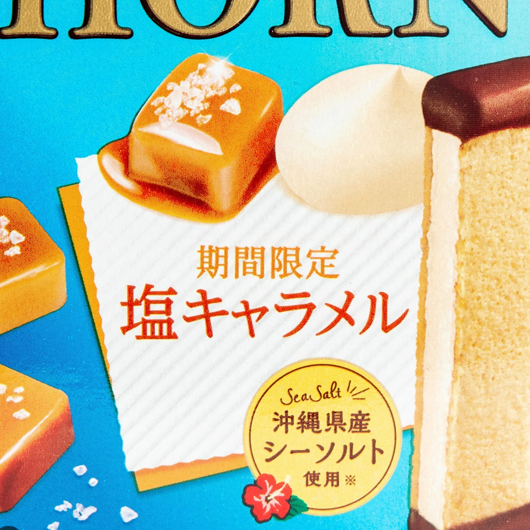 Meiji Horn Salted Caramel Cookies (8pcs)